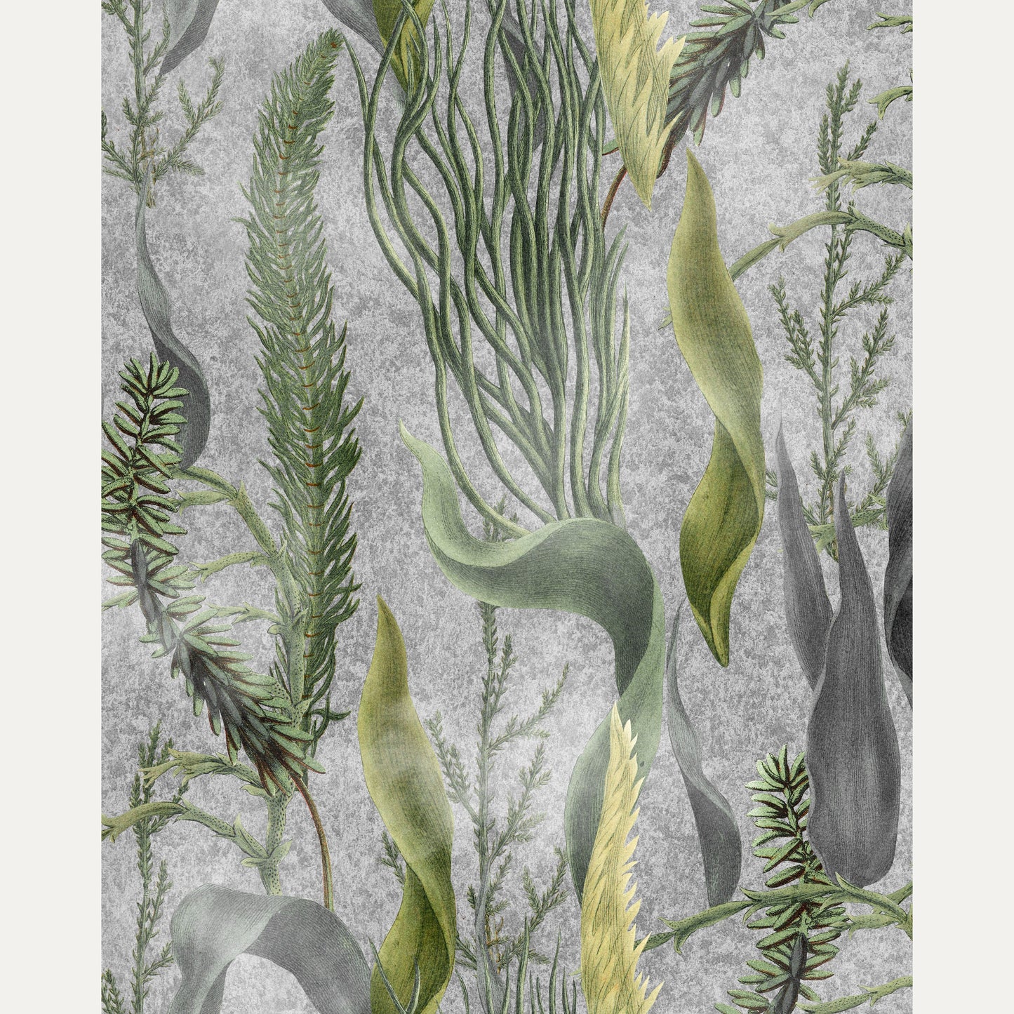 Tapetti Aquatic Plants